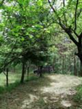 Продава  Парцел област София , с. Горни Окол , в.з. Щъркелово гнездо, 530 кв.м | 84045294 - изображение [8]
