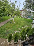Продава  Къща област София , гр. Драгоман , 70 кв.м | 54931846 - изображение [10]