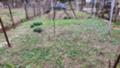 Продава  Етаж от къща град Плевен , Мара Денчева , 142 кв.м | 75688591 - изображение [6]