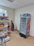 Продава  Магазин област Варна , гр. Вълчи дол , 80 кв.м | 31175893 - изображение [8]