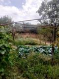 Продава  Къща област Стара Загора , с. Черна гора , 105 кв.м | 16900728 - изображение [3]