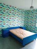 Продава  Къща област Силистра , с. Секулово , 1234 кв.м | 76368768 - изображение [14]