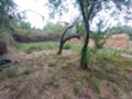 Продава  Къща област Благоевград , с. Рилци , 80 кв.м | 42066697 - изображение [10]