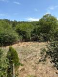 Продава  Къща област Монтана , с. Видлица , 67 кв.м | 87745273 - изображение [3]