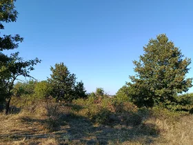 Продава  Земеделска земя, с. Равна гора