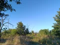 Продава  Земеделска земя област Варна , с. Равна гора , 1033 дка | 45182760 - изображение [3]