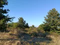 Продава  Земеделска земя област Варна , с. Равна гора , 1033 дка | 45182760 - изображение [2]
