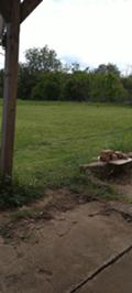 Продава  Къща област Плевен , с. Пелишат , 0 кв.м | 66851599 - изображение [7]