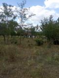 Продава  Парцел област Варна , с. Бързица , 2530 кв.м | 66884332 - изображение [3]