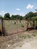 Продава  Парцел област Варна , с. Горен чифлик , 820 кв.м | 74687514 - изображение [4]