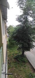 Продава  2-стаен град Монтана , Плиска , 1, 68 кв.м | 92563866 - изображение [2]