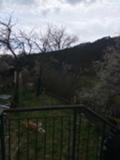 Продава  Къща област Пловдив , с. Свежен , 350 кв.м | 77349965 - изображение [4]