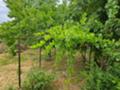 Продава  Къща област Монтана , с. Септемврийци , 75 кв.м | 45081752 - изображение [6]