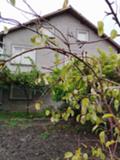 Продава  Къща област Русе , с. Червена вода , Център, 180 кв.м | 61918551 - изображение [5]