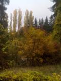Продава  Парцел област София , гр. Долна баня ,   ,                   , 3168 кв.м | 25922381 - изображение [2]