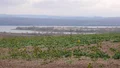 Продава  Парцел област Бургас , с. Черни връх , 4000 кв.м | 38011540 - изображение [4]