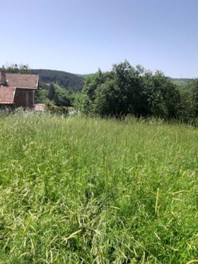 Продава  Парцел, с. Златуша