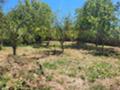 Продава  Къща област София , с. Разлив , 0 кв.м | 61186547 - изображение [5]
