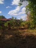 Продава  Парцел област Стара Загора , с. Черна гора , близо до ж.п. гара Черна , 2400 кв.м | 55072299 - изображение [7]