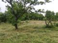 Продава  Парцел област Перник , с. Егълница , Егълница , 1070 кв.м | 29113783 - изображение [5]