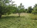 Продава  Парцел област Перник , с. Егълница , Егълница , 1070 кв.м | 29113783 - изображение [6]