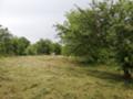 Продава  Парцел област Перник , с. Егълница , Егълница , 1070 кв.м | 29113783 - изображение [4]