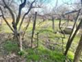 Продава  Къща област Плевен , с. Пелишат , 120 кв.м | 57244471 - изображение [12]