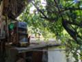 Продава  Къща област Габрово , с. Мечковица , 65 кв.м | 80005982 - изображение [11]