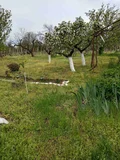 Продава  Вила град Плевен , м-т Мъртва долина , 35 кв.м | 65749055 - изображение [3]