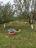 Продава  Вила град Плевен , м-т Мъртва долина , 35 кв.м | 65749055 - изображение [4]