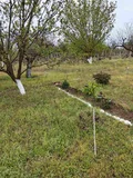 Продава  Вила град Плевен , м-т Мъртва долина , 35 кв.м | 65749055 - изображение [5]