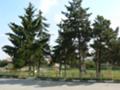 Продава  Парцел област Добрич , с. Сенокос , 931 кв.м | 67997980 - изображение [8]