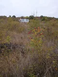 Продава  Парцел област Варна , с. Осеново , 4553 кв.м | 83181350 - изображение [2]