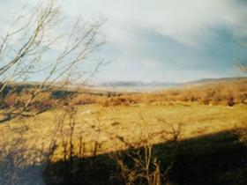 Продава  Земеделска земя, с. Кичево