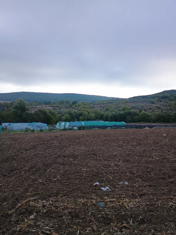 Продава  Парцел област Варна , с. Осеново , 5000 кв.м | 48201457