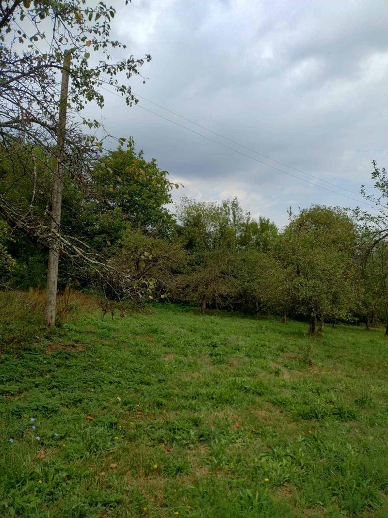 Продава  Парцел област Ловеч , с. Рибарица , хотел Зорница, 1765 кв.м | 37398317