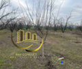 Продава  Парцел област Хасково , с. Златополе , 3000 кв.м | 11823427 - изображение [2]