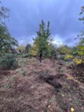Продава  Къща област Стара Загора , гр. Казанлък , Тюлбе, Старите Лозя, 40 кв.м | 50342995 - изображение [14]