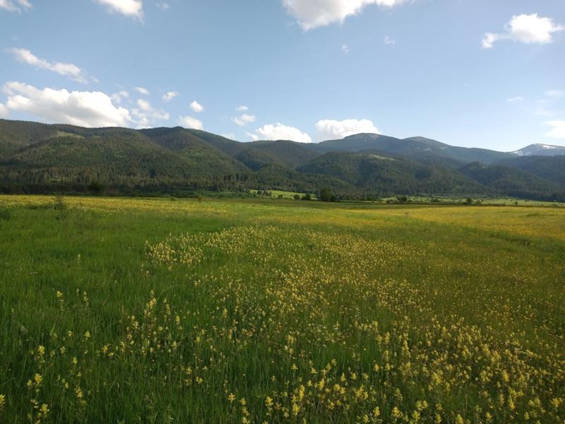 Продава  Земеделска земя област София , с. Говедарци , 1 дка | 53604005