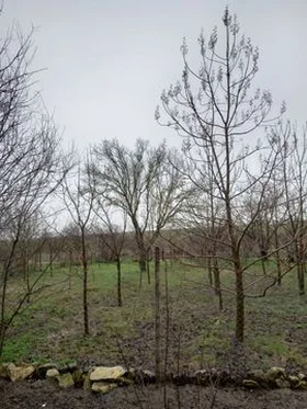 Продава  Парцел област Варна , с. Манастир , 1140 кв.м | 34420219 - изображение [3]