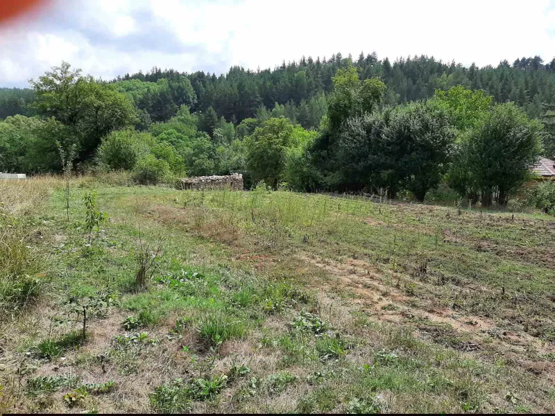 Продава  Парцел област Пловдив , с. Свежен , 2140 кв.м | 53011855