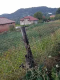 Продава  Парцел област Благоевград , с. Скребатно , 800 кв.м | 77252632 - изображение [3]