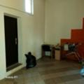 Продава  Магазин град Видин , Химик , 143 кв.м | 59474809 - изображение [7]