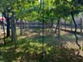 Продава  Къща област Разград , гр. Исперих , 950 кв.м | 35272864 - изображение [3]