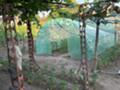 Продава  Къща област Добрич , с. Методиево , 1600 кв.м | 37696998 - изображение [10]