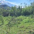 Продава  Парцел област Велико Търново , с. Зеленик , 1700 кв.м | 85625481 - изображение [5]