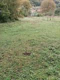 Продава  Парцел област Ловеч , с. Рибарица , 1422 кв.м | 43950703 - изображение [17]