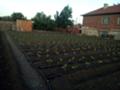 Продава  Къща област Стара Загора , с. Плодовитово , В близост до борсата, 67 кв.м | 74406289 - изображение [2]
