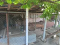 Продава  Къща област Велико Търново , с. Козаревец , 700 кв.м | 81115517 - изображение [9]