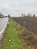 Продава  Парцел област Русе , гр. Сливо поле , 9897 кв.м | 41119532 - изображение [3]